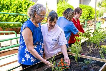 Elderly women engaging in therapeutic gardening activity