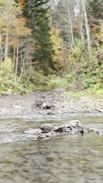 Exploring the serene river in autumn colors