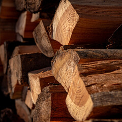 Firewood logs pile up