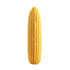 ripe corn cob