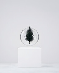 Floating cybernetic seed in a glass orb inside a clean white lab.

