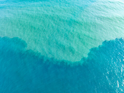 Sediment runoff meets ocean currents along the coast of Oregon. Runoff from rivers or storms can have a detrimental effect on marine organisms that live in shallow coastal waters.