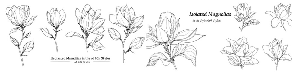 Collection featuring 21 distinct magnolia drawings, presented in a modern, hand-drawn style with black outlines against a white backdrop