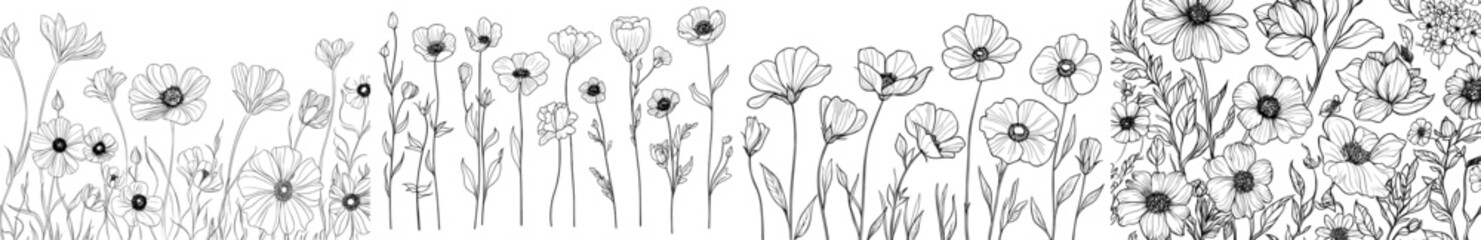 Wild flowers. Sketch wildflowers and herbs, nature botanical elements. Hand drawn summer field flowering modern set. Illustration of a floral field with wild flowers, white and black line