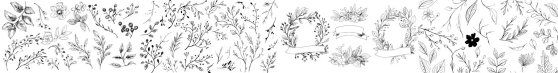 Leaf branch wreath rustic set. Hand drawn sketch doodle style leaf. Flourish branch, laurel flower for border, divider design element. Modern illustration © Andrei