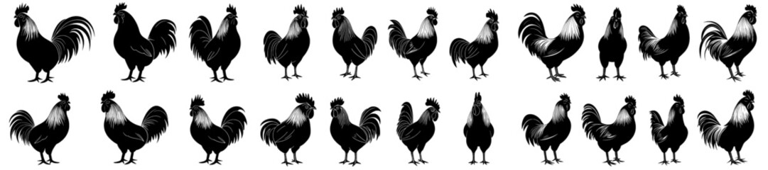 chicken in black silhouette, modern illustration, white background