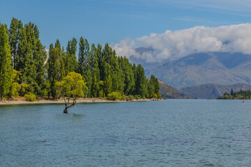 Obraz premium lake in the mountains, Wanaka, New Zealand