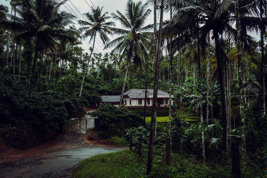 beautiful house located in between forest.