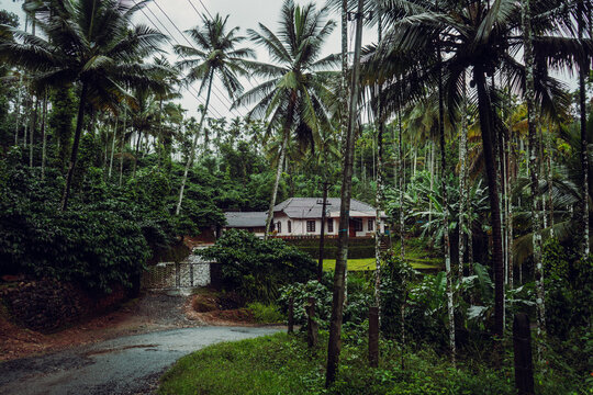 beautiful house located in between forest.