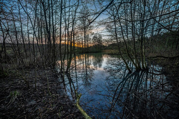 Obraz premium Serene Evening by a Reflective Pond in a Scenic Forest Setting