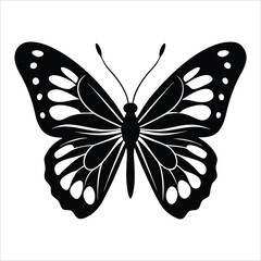 Butterfly vector illustration silhouette on a white background.