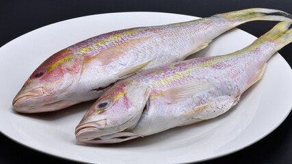 Frozen Whole Fish on a White Plate