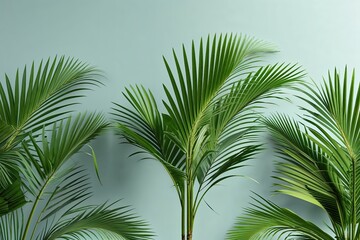 Fototapeta premium Sleek Isolated Palm Frond Design for Contemporary Greenery Decor