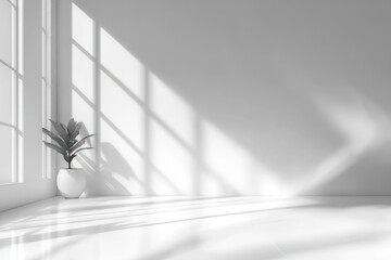 Minimalistic White Interior Room with Light and Shadow for Product Display Presentation