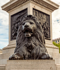 Lion sculpture at Nelson column on Trafalgar square, London, UK