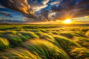 Windswept Steppe Grass: Abstract Nature Photography
