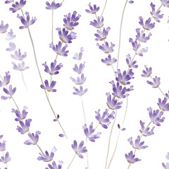 flowers and leaves in pictures illustrator2D