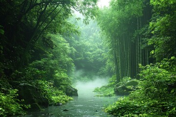 Fototapeta premium Lush Green Bamboo Forest with Misty River and Dense Foliage in Background