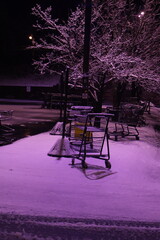 bench in winter park