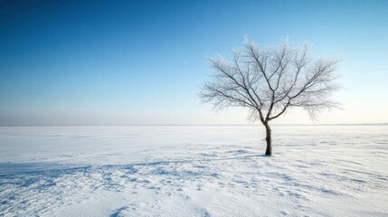 Fototapeta premium A minimalistic winter landscape with a single tree standing alone in a vast frozen field, emphasizing solitude