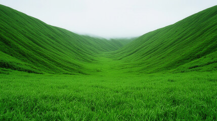 Fototapeta premium Lush green valley with soft rolling hills under cloudy sky