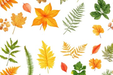 Fall foliage motif on white background