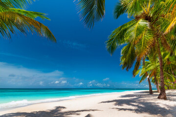 Relaxing on a tropical beach with clear blue skies