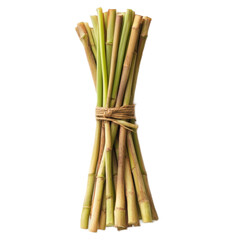 Fototapeta premium Bundle of Fresh Green Stalks Tied with Twine