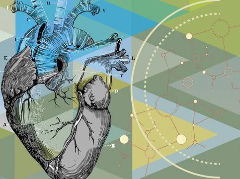 Abstract pattern of connections and human heart