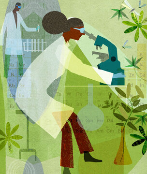 Scientists studying plants