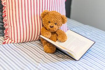 Childhood Toy Brown Bear is Ready to Read a Story Book