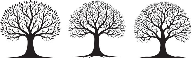 Without leaf tree silhouette vector set, black tree silhouette illustration design.