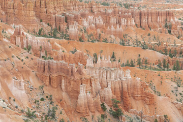 Hoodoos in Bryce Canyon National Park, Utah, USA