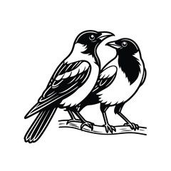 Black and white cute love birds