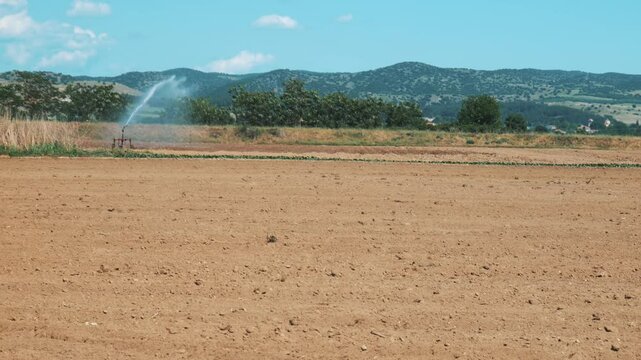 field mountains valey 