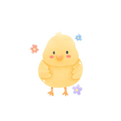 Baby chicken