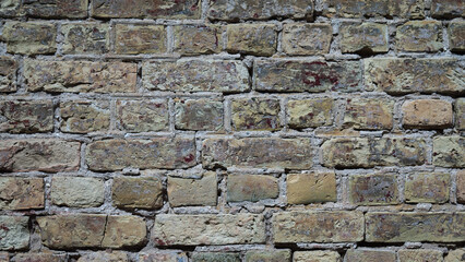 The photo shows an old brick wall close-up