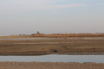 Flat, barren landscape with sparse vegetation and patches of grass. 