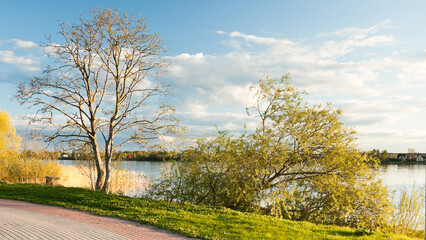 Obraz premium sunset in the park, in the photo the bank, river, cobblestone footpath, trees and blue sky with clouds
