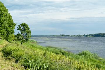 summer landscape, photo of river, river bank with green grass, green tree in foreground, pastel blue sky in background