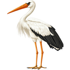 Obraz premium Cute stork illustration animal waterfowl bird on transparent background