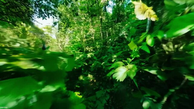Bright juicy exotic tropical greens in the jungle forest equatorial climate. Background with unusual plant foliage swaying. Natural texture with juicy leaves. Sunlight on the palm leaf.