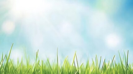 Fototapeta premium Bright Sunlight on Green Grass Blades Against Blue Sky on Sunny Day Nature Scenery.