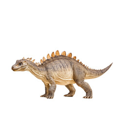 Stegosaurus Dinosaur Illustration