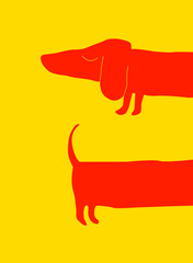 A playful minimalistic illustration of a dachshund in bold red and yellow. The elongated body and split composition create a fun, abstract take on this iconic dog breed, emphasizing its unique shape.