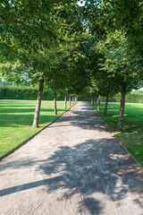 Public park with footpath, trees and grass during summer evening