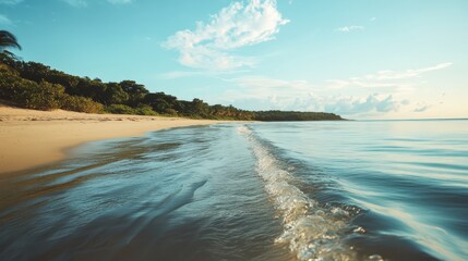 Fototapeta premium A beautiful beach with a clear blue ocean and a few trees in the background
