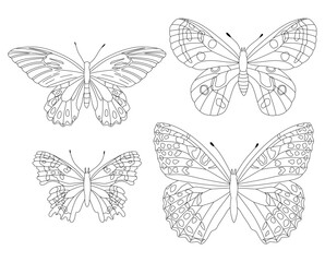 Coloring page or lineart - realistic Butterflies.