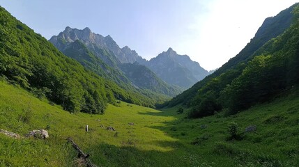 Naklejka premium Serene mountain valley with lush greenery and towering peaks under a clear blue sky