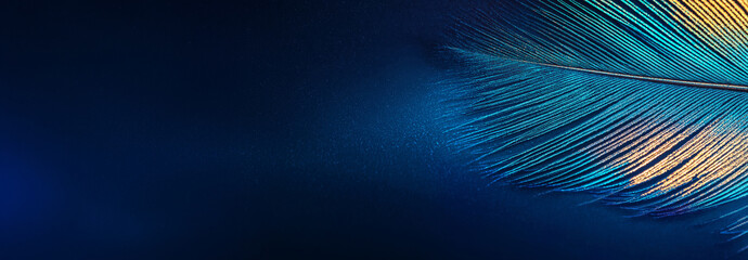 Blue and turquoise bird feather against blue background. Beauty and cosmetics concept. Abstract background for beauty packaging, makeup branding. Banner with copy space.